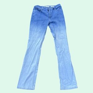 Jones New York Gradient Blue Flare Jeans